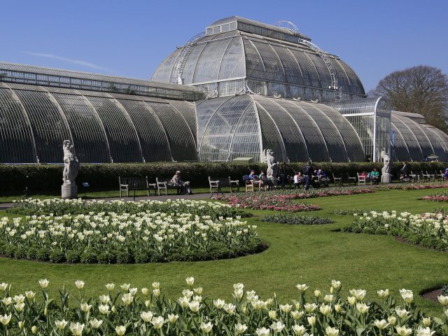 Mencap hailed Kew Gardens' record in employing people with a learning disability (Jonathan Brady/PA)