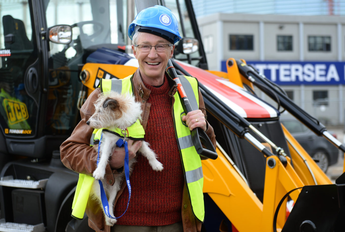 Comedians join forces against ‘laughable’ animal cruelty penalties