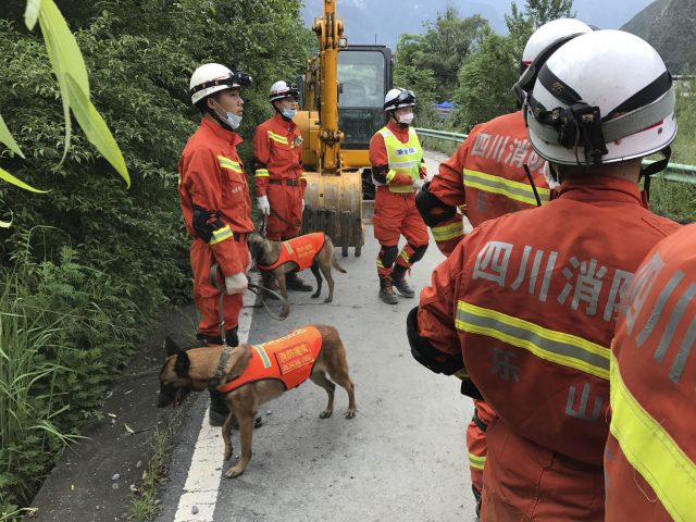 Rescuers with search dogs stand near earthmoving equipment as they wait to work at the site of a landslide in Xinmo village in Maoxian County in southwestern China's Sichuan Province (Ng Han Guan/AP)