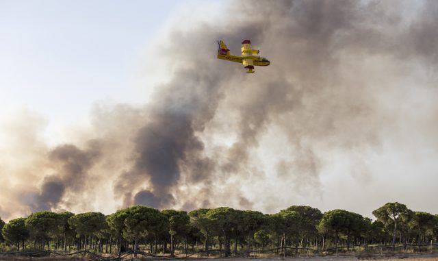 Spanish forest fire