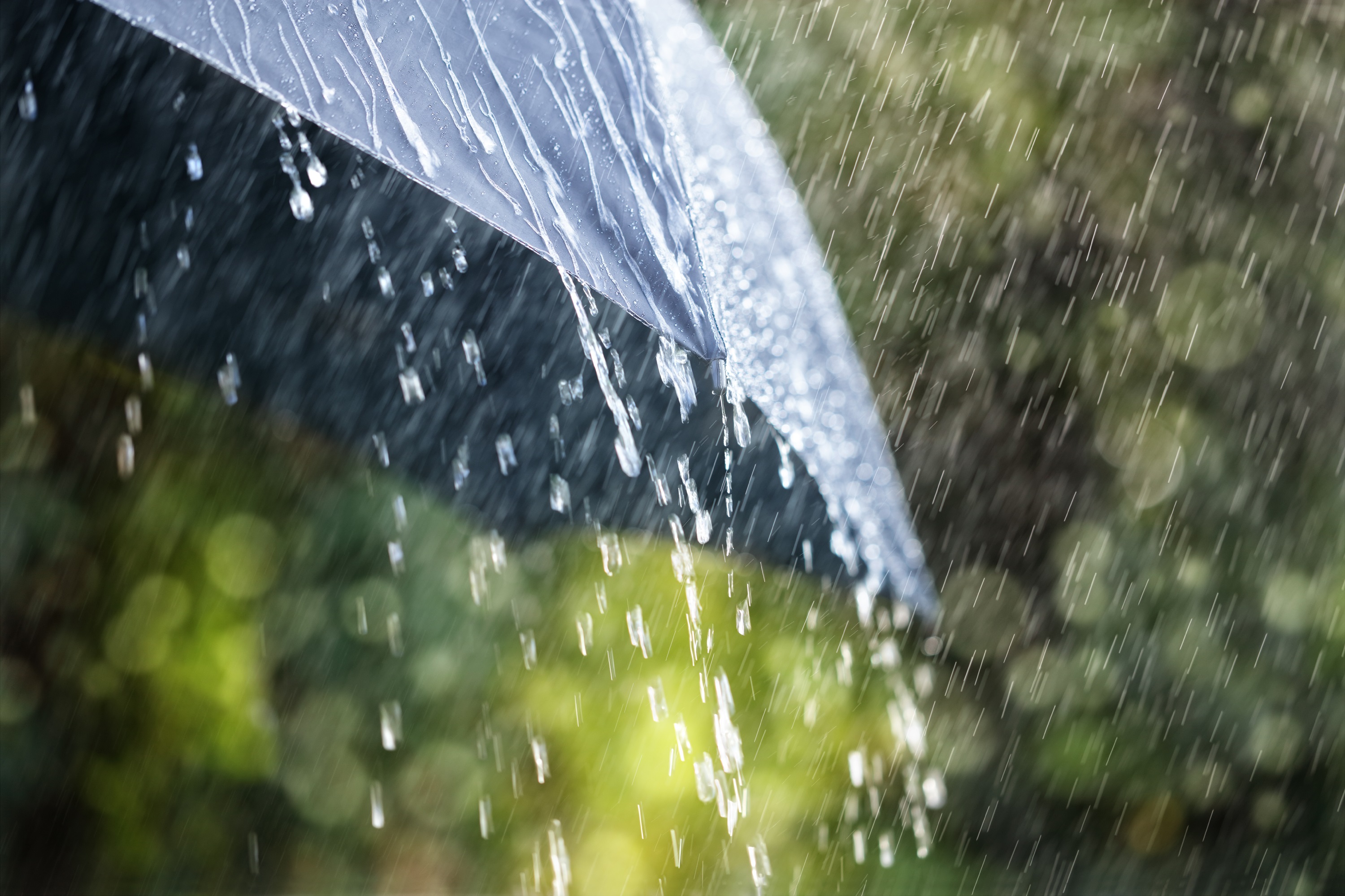 rain on umbrella. 