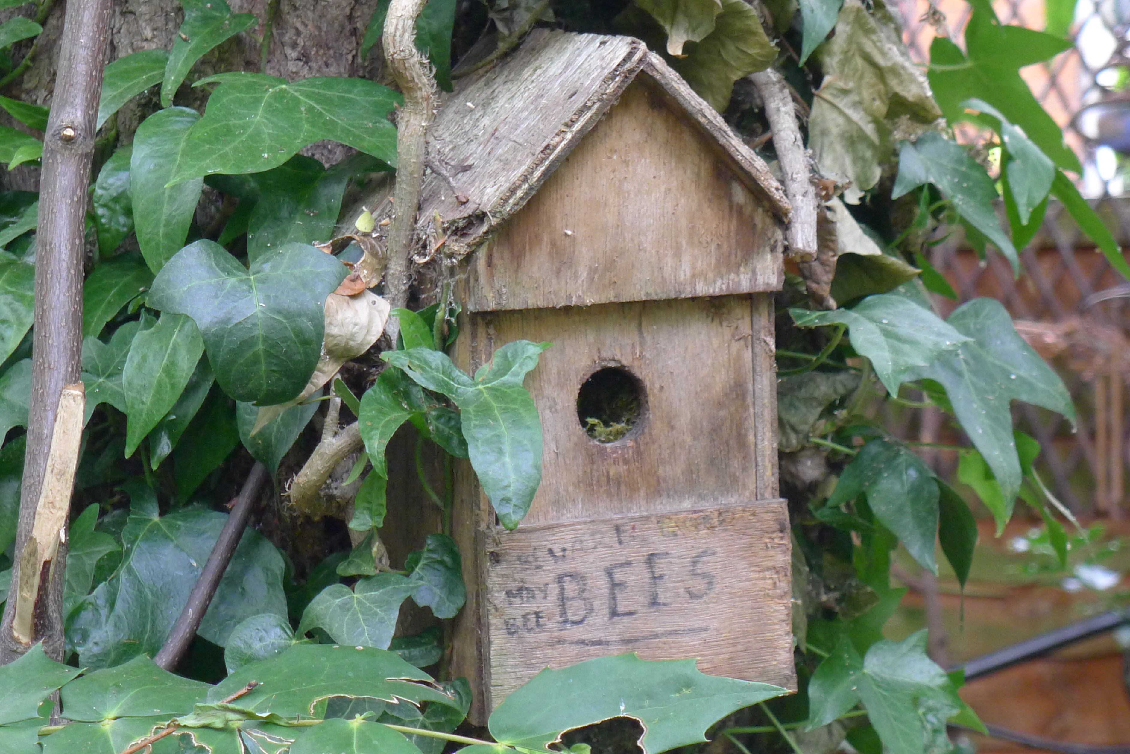 Bee house (Hannah Stephenson/PA)