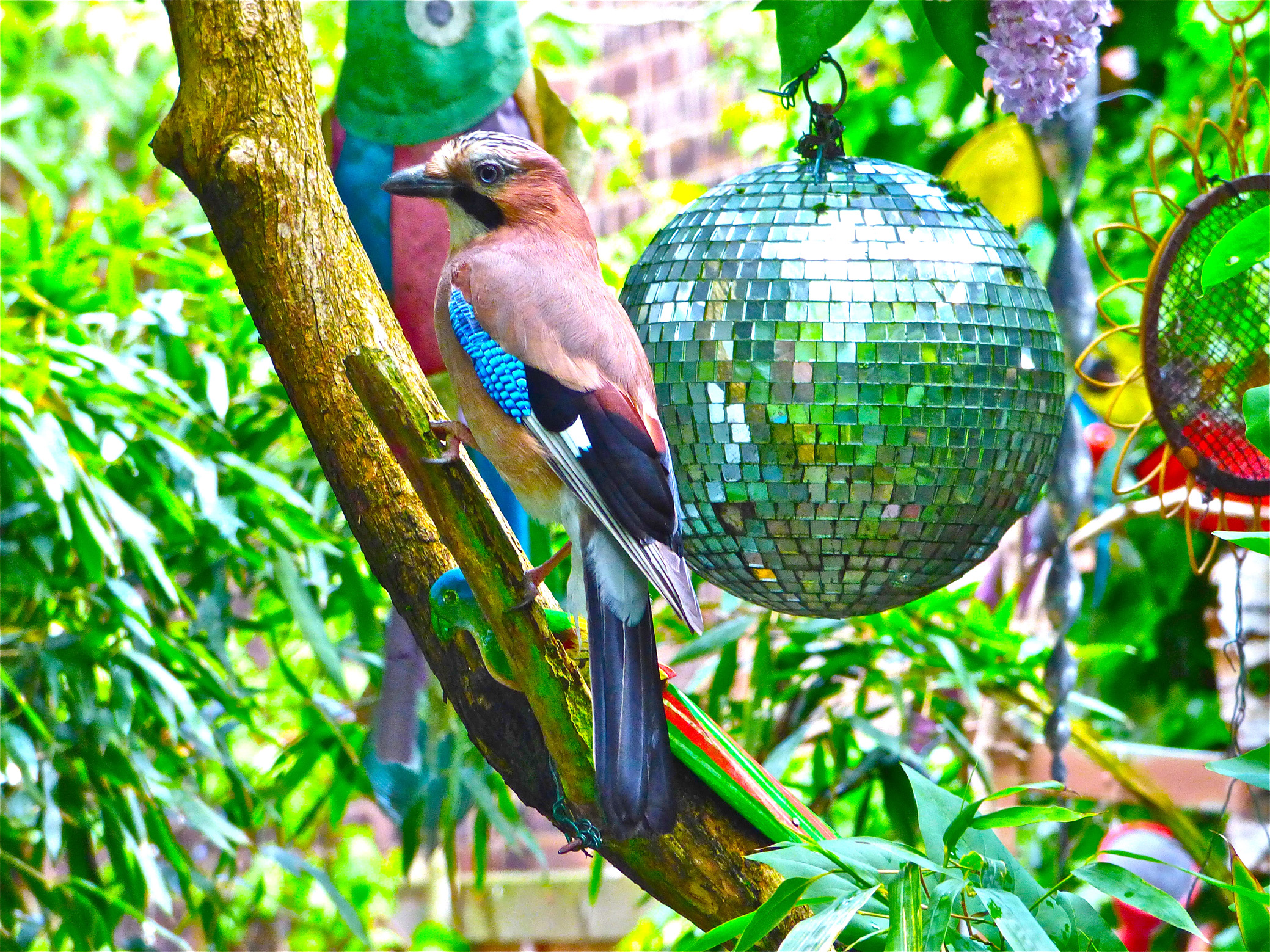 Quirky glitterball (Bill Oddie/PA)