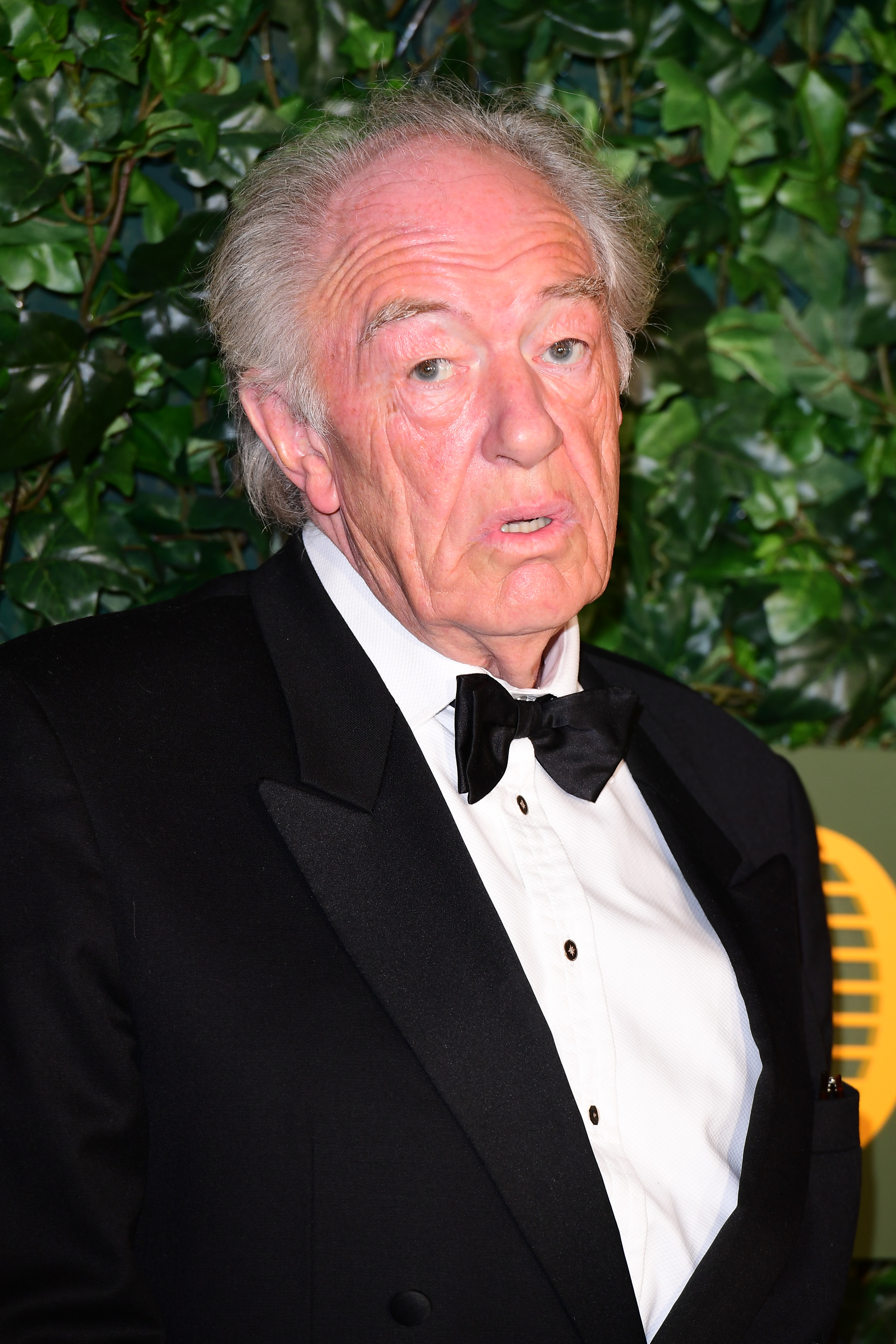 Michael Gambon