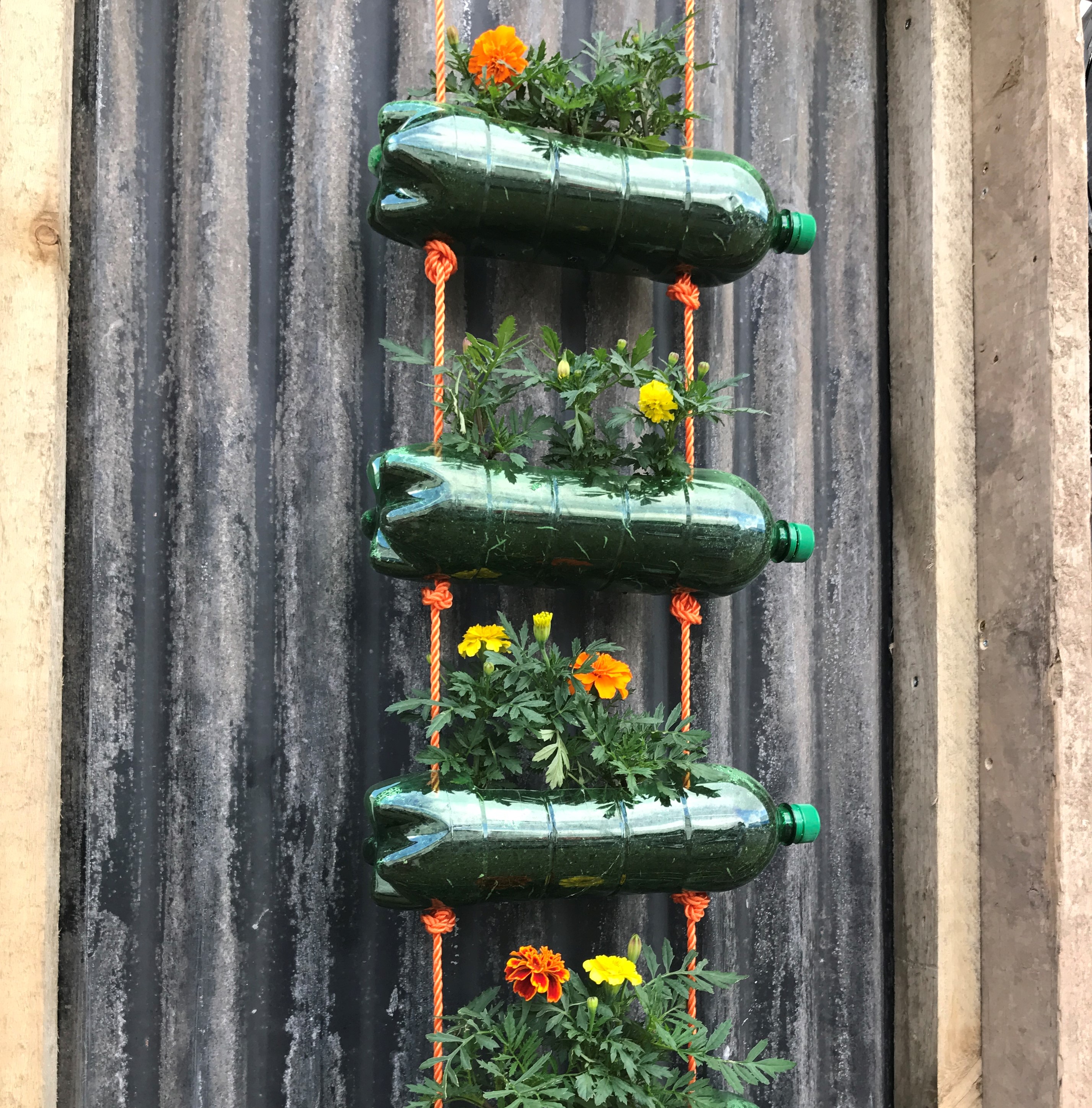 Vertical planting home-made style (Hannah Stephenson/PA)