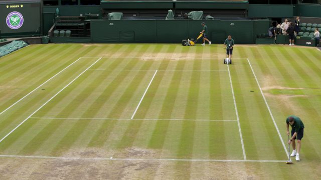 The courts at Wimbledon have been criticised this year