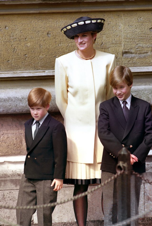 Diana with the young princes. (Martin Keene/PA)