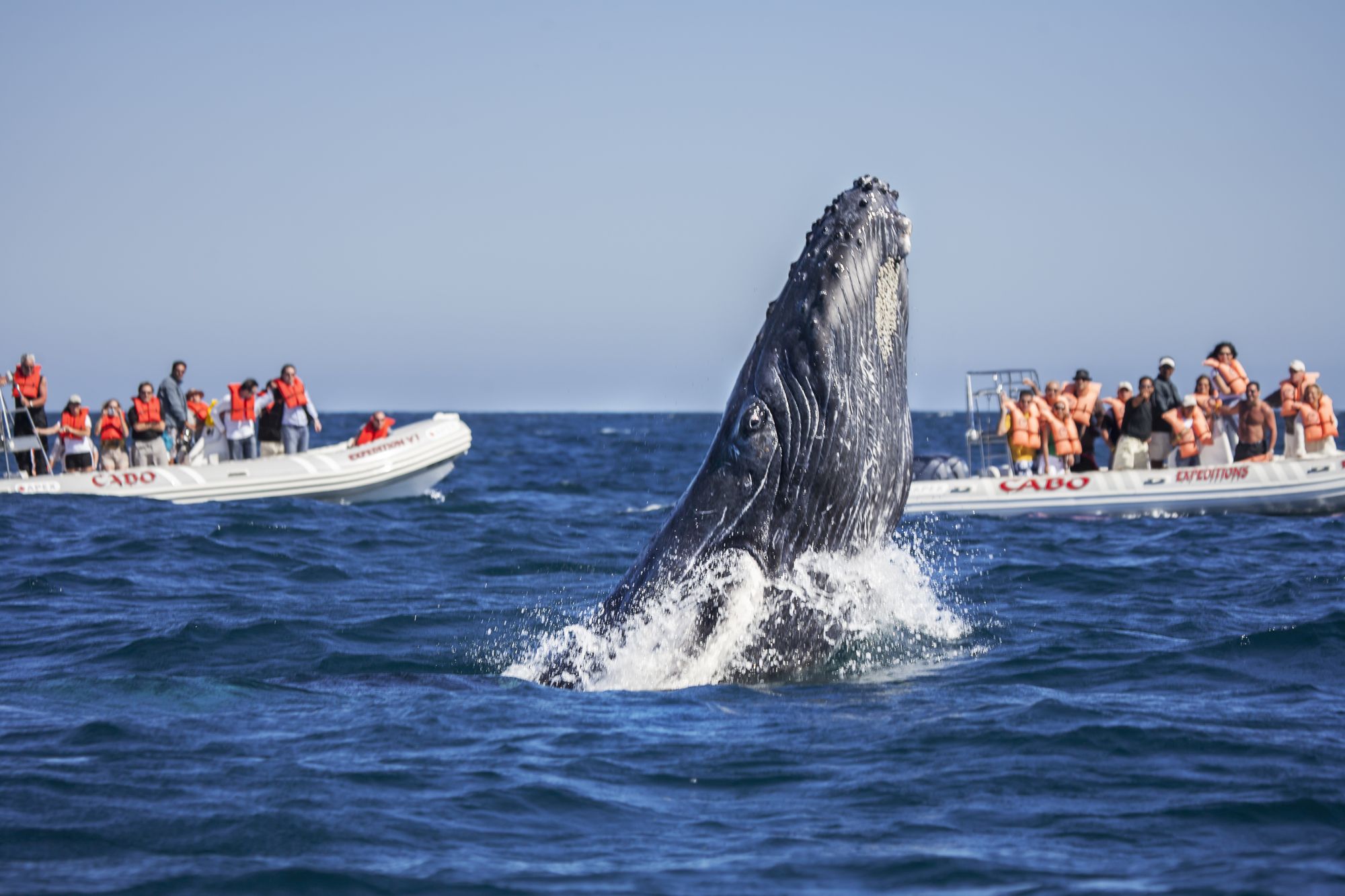 7 reasons why the A-list love to holiday in Los Cabos