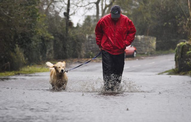 A man walks his dog as rain begins to fall heavily on the already flooded Somerset Levels
