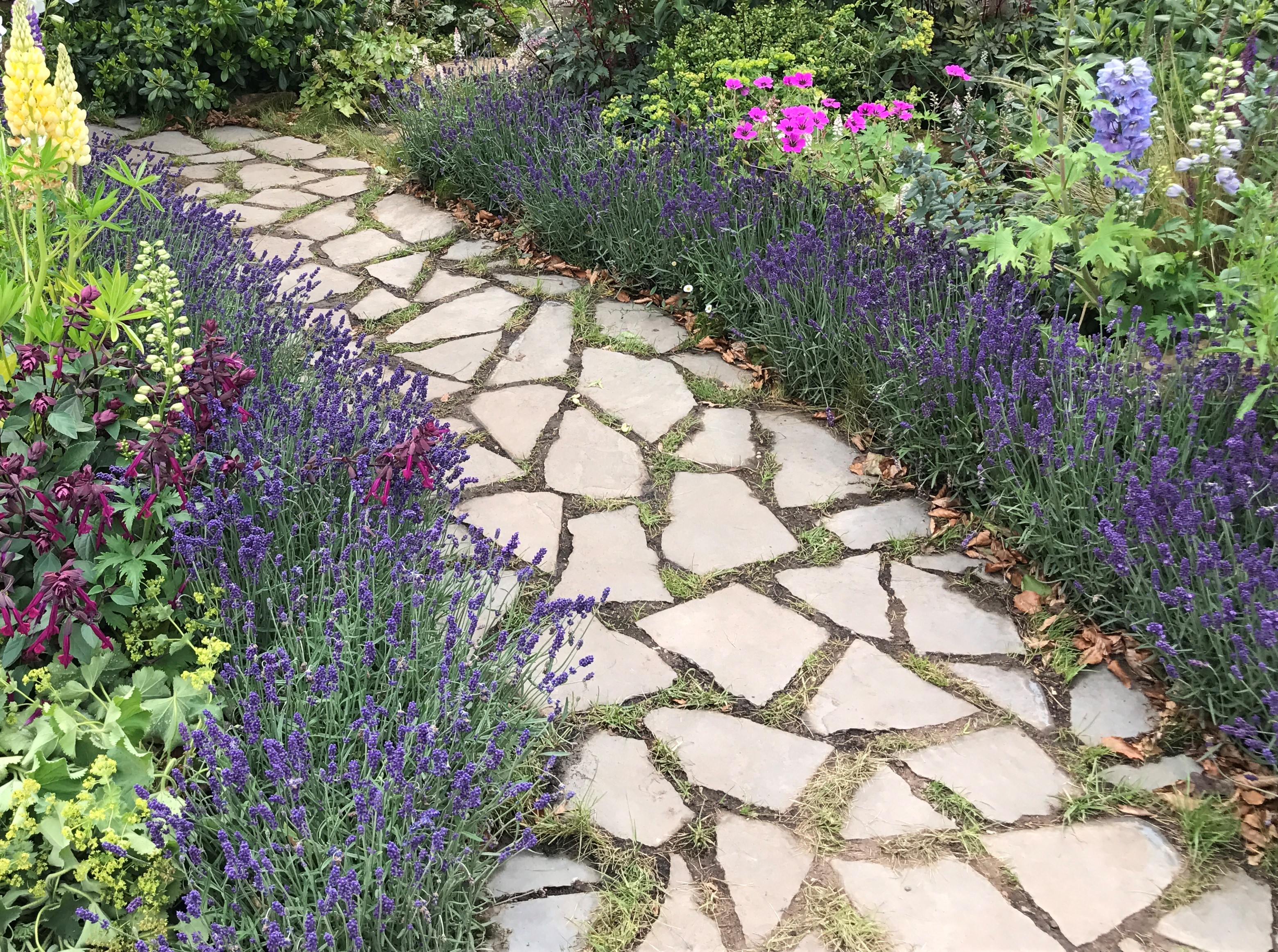 Lavender path (Hannah Stephenson/PA)