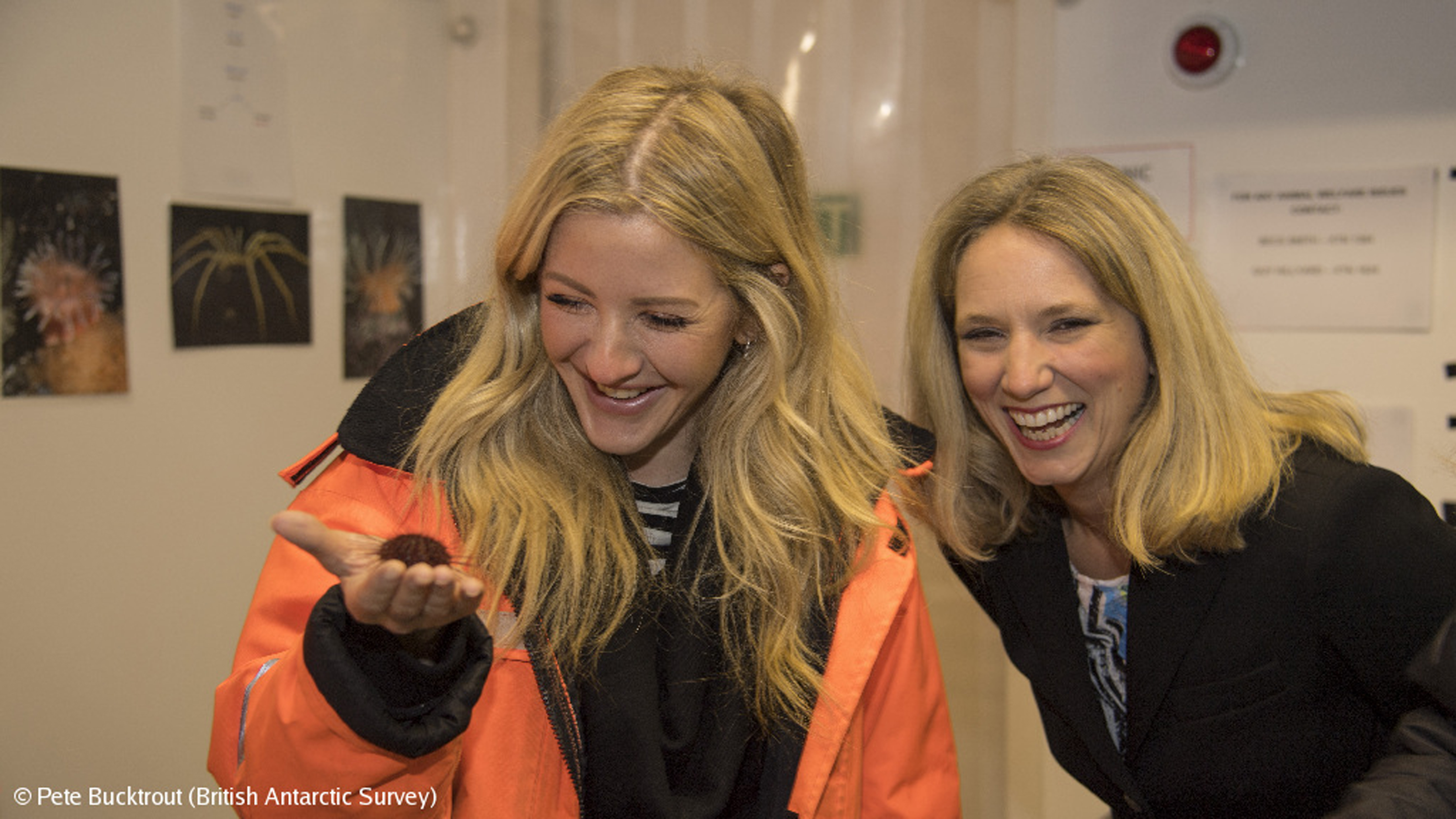 Goudling holding a sea urchin with Dr Emily Shuckburgh, a BAS climate scientist.