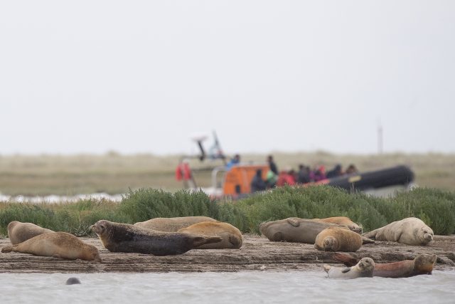 The count will be undertaken by by conservation teams 