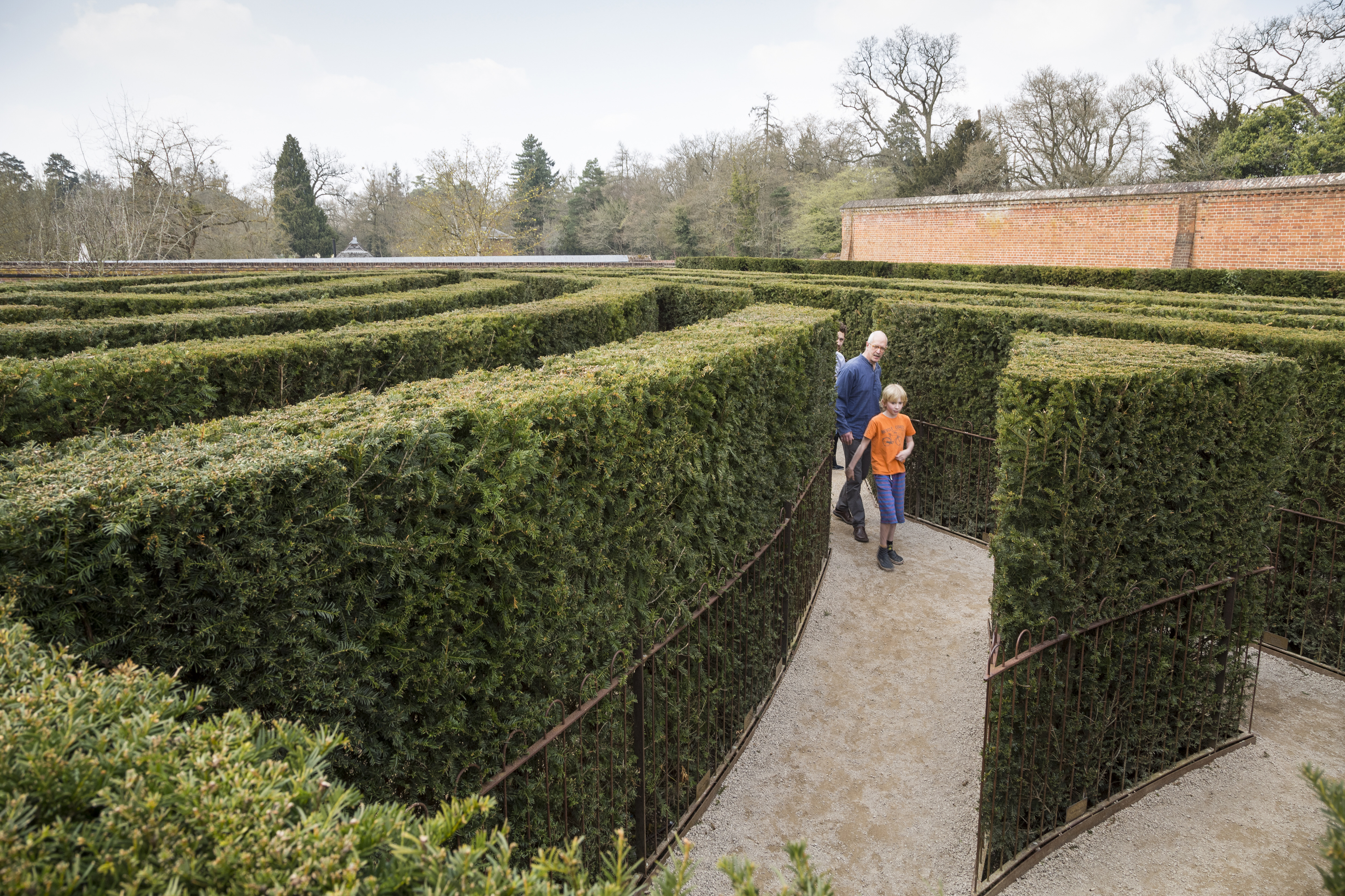 Get lost in the maze at Cliveden (Chris Lacey/National Trust/PA)