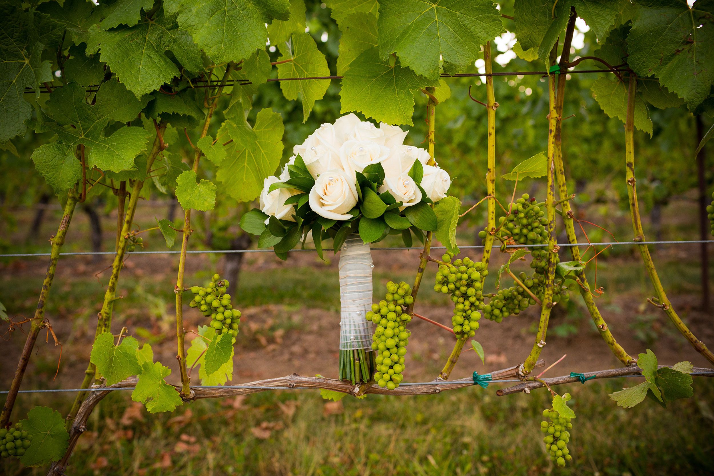 Mixed bouquet in a vineyard (Corney & Barrow/PA)