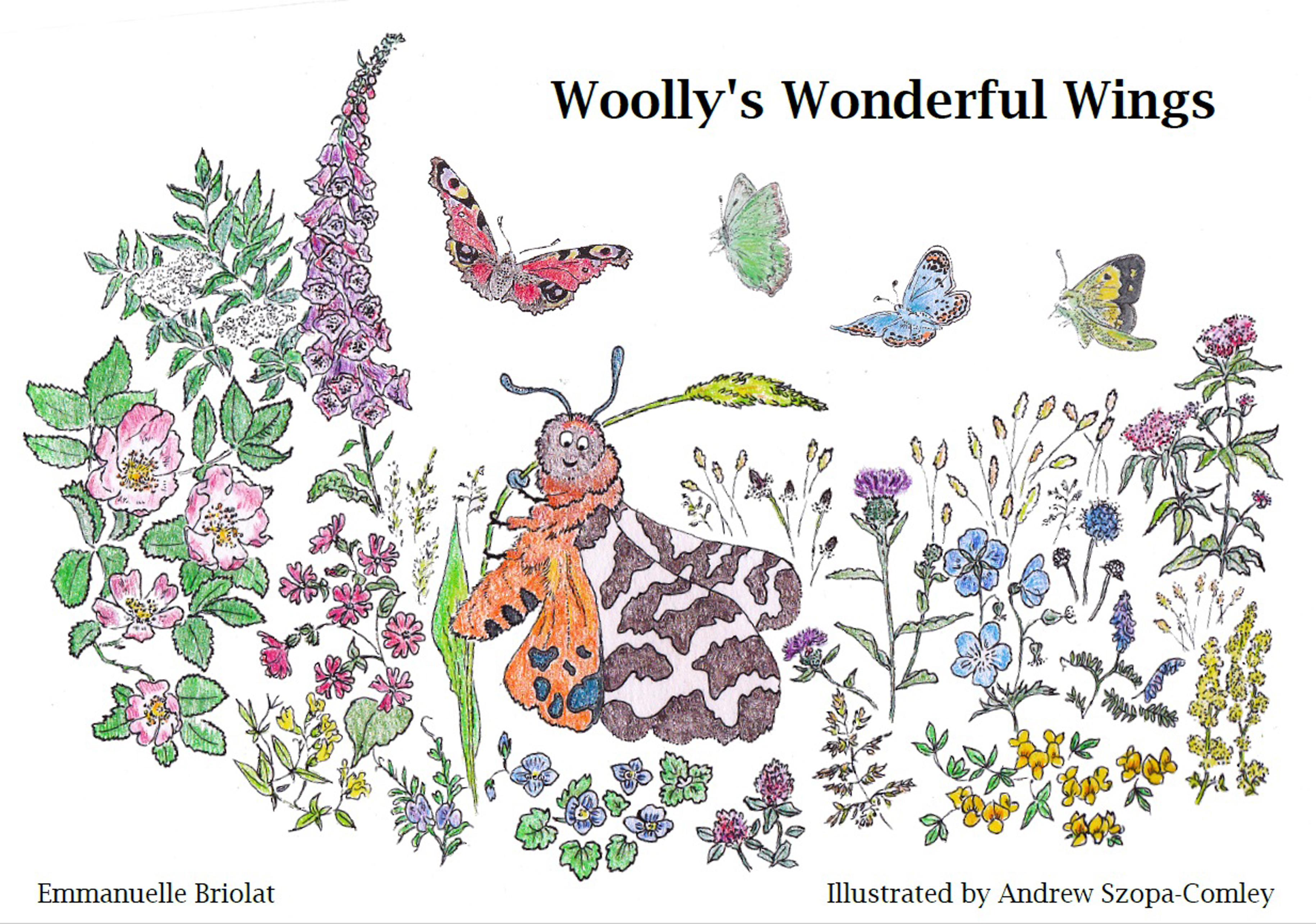 Woolly’s Wonderful Wings by Emmanuelle Briolat