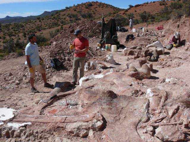 The dig site at Patagonian quarry where the fossilised bones of six young adult dinosaurs were found (PA)