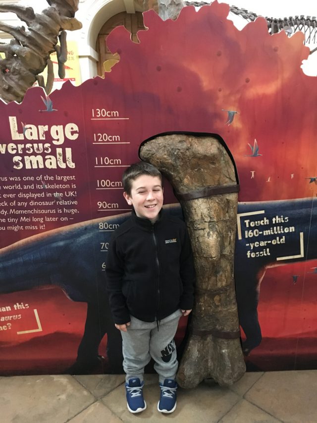 Jack earlier this year at a dinosaur exhibition (Collect/PA Real Life)