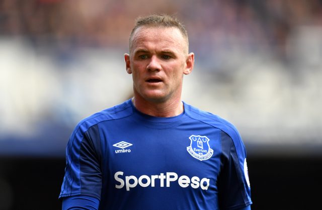 Wayne Rooney is one of many signings made by Everton this summer