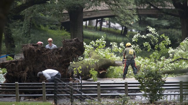 Authorities have said the four people involved had non-life-threatening injuries