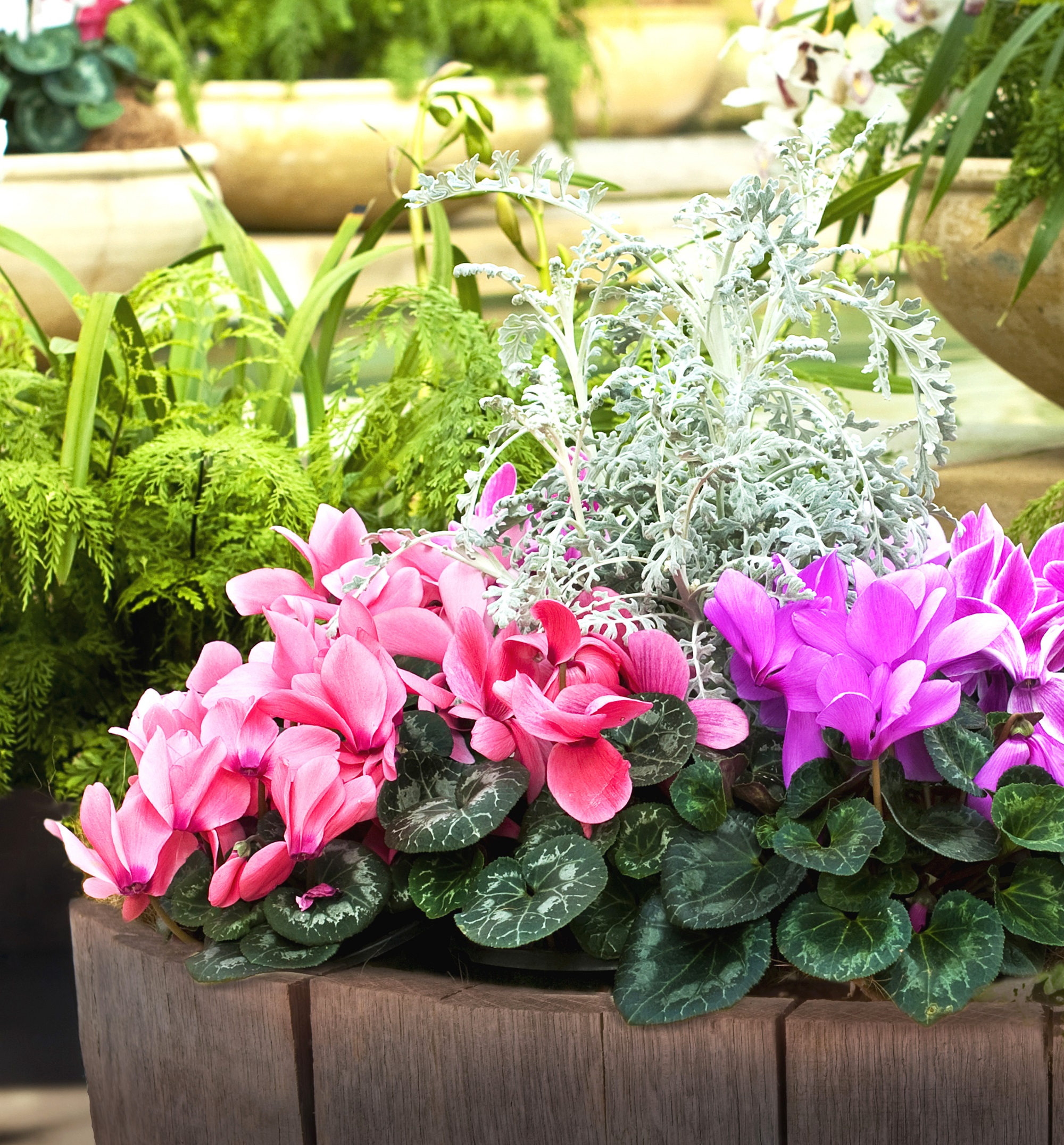 Autumn planters provide a warm welcome (Squire's Garden Centres/PA)