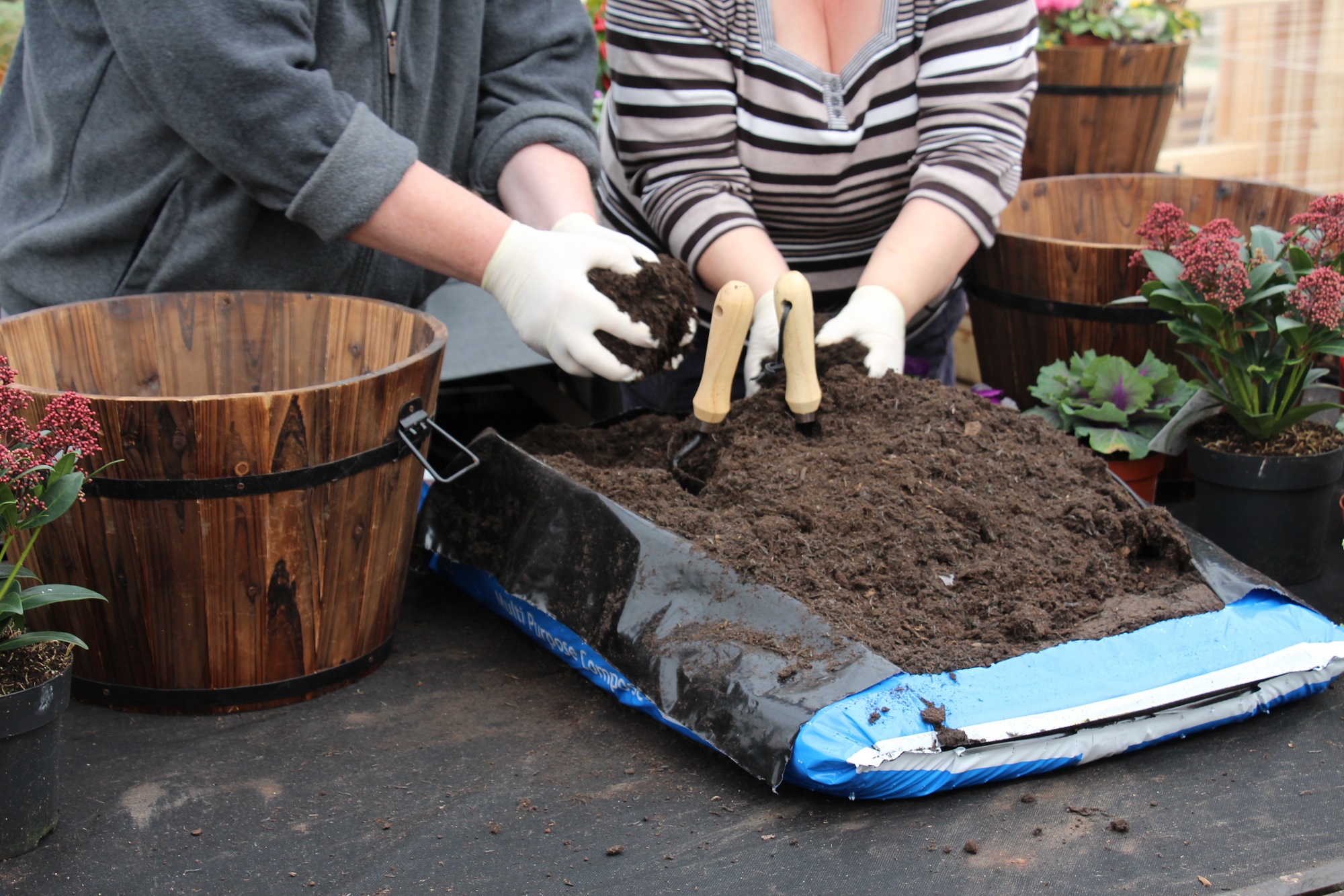 Add compost (Squire's Garden Centres/PA)