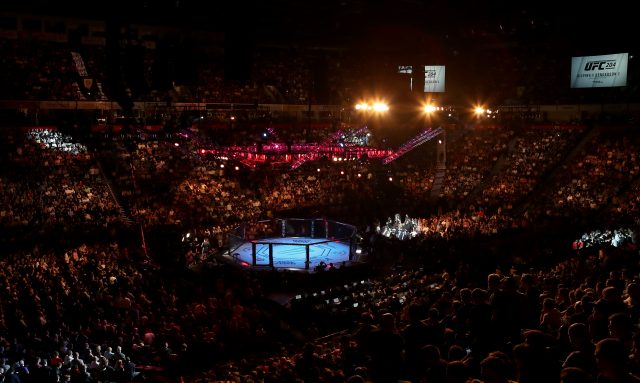 A general view of the Octagon at UFC 204 at the Manchester Arena