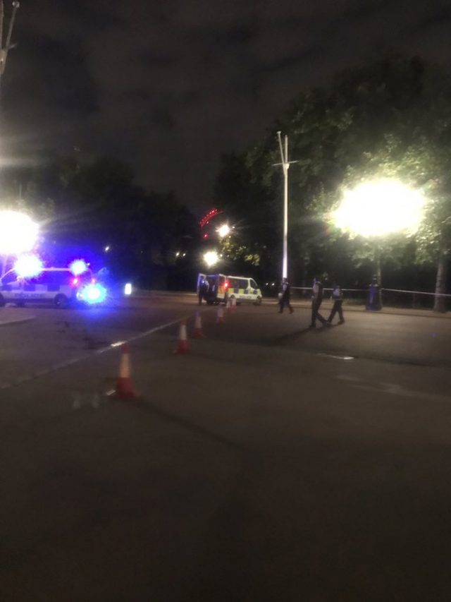 Police on The Mall near Buckingham Palace in London, where a man has been arrested