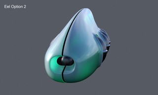 An example design of the eel pods