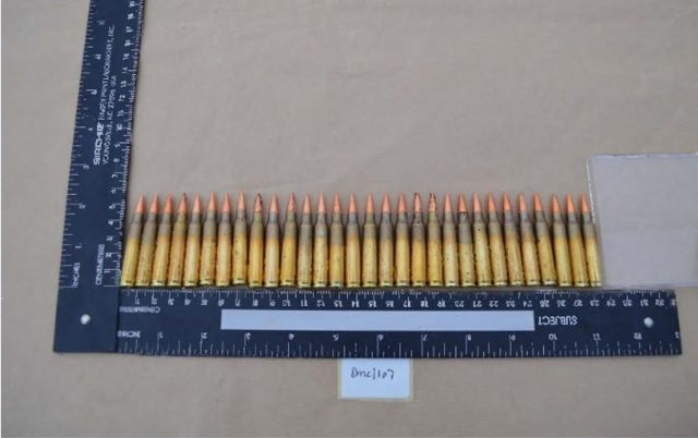 Ammunition recovered from Maxwell's hide at Powderham New Plantation