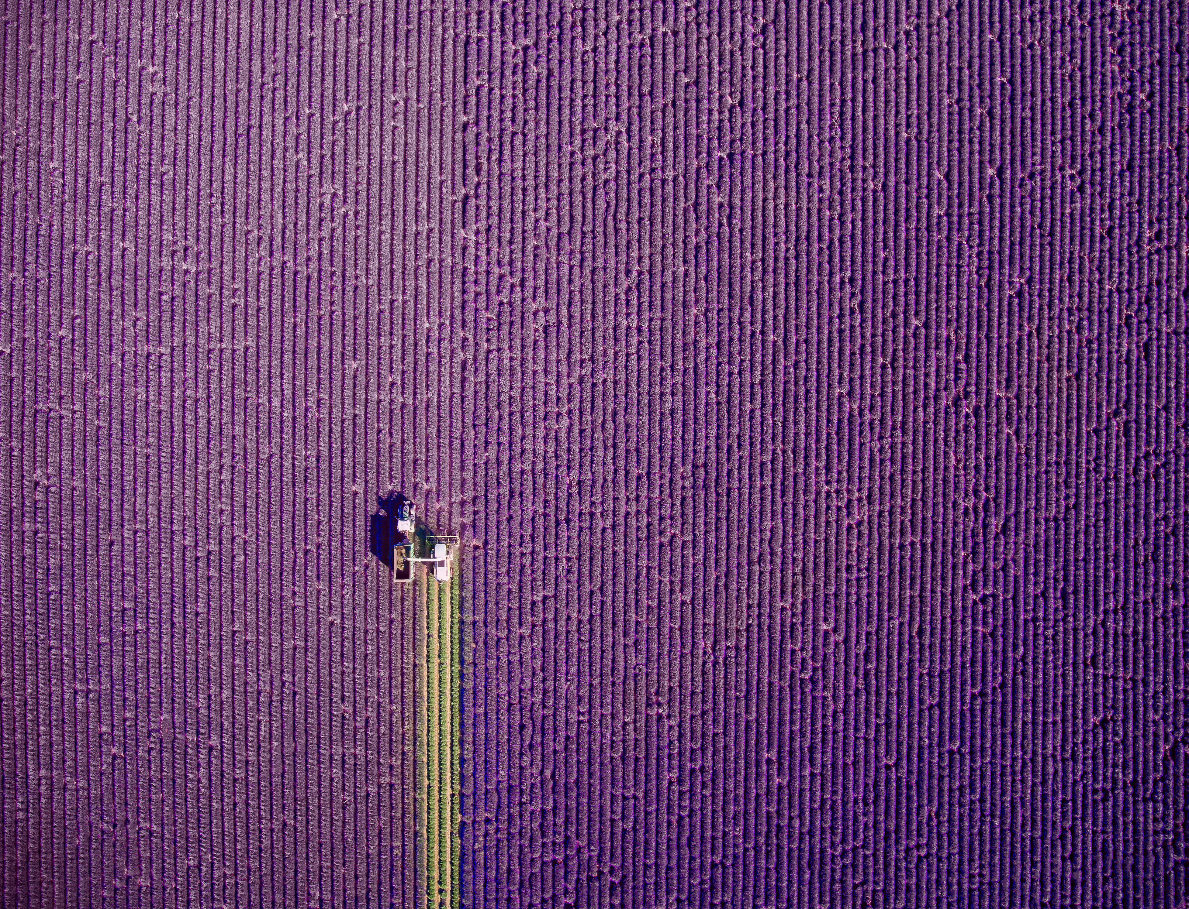 Provence summer trim by Jerome Courtial (Jerome Courtial @jcourtial/Dronestagram)