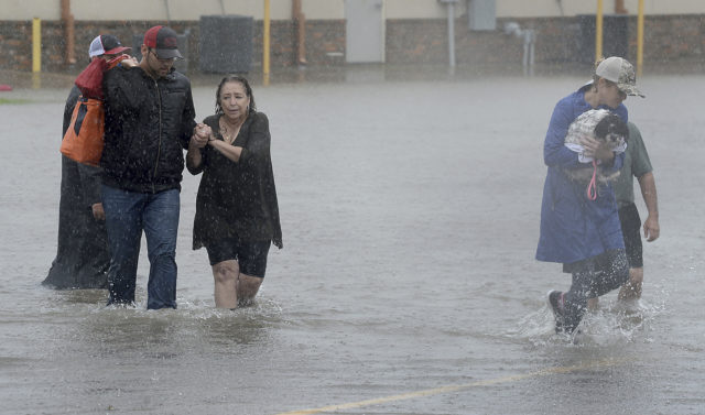 A GoFundMe set up for a three-year-old girl who lost her mum to Storm ...