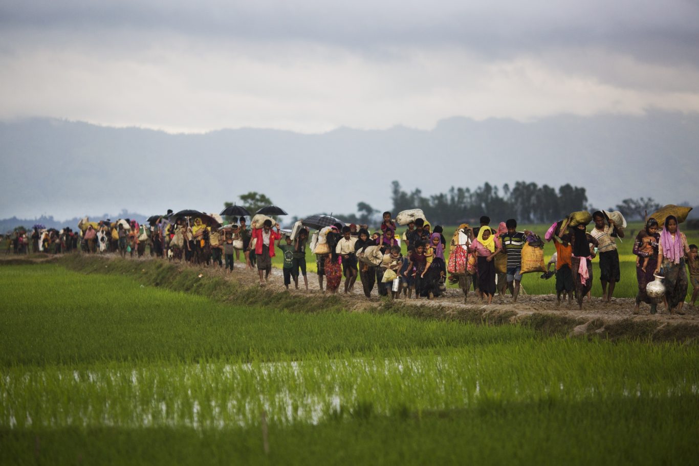 Violence  in the western state of Rakhine has driven many Rohingya to seek shelter in Bangladesh (Bernat Armangue/AP)