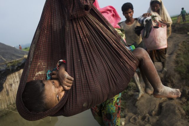 A Rohingya child is carried on a sling while his family walk through rice fields after crossing the border into Bangladesh 
