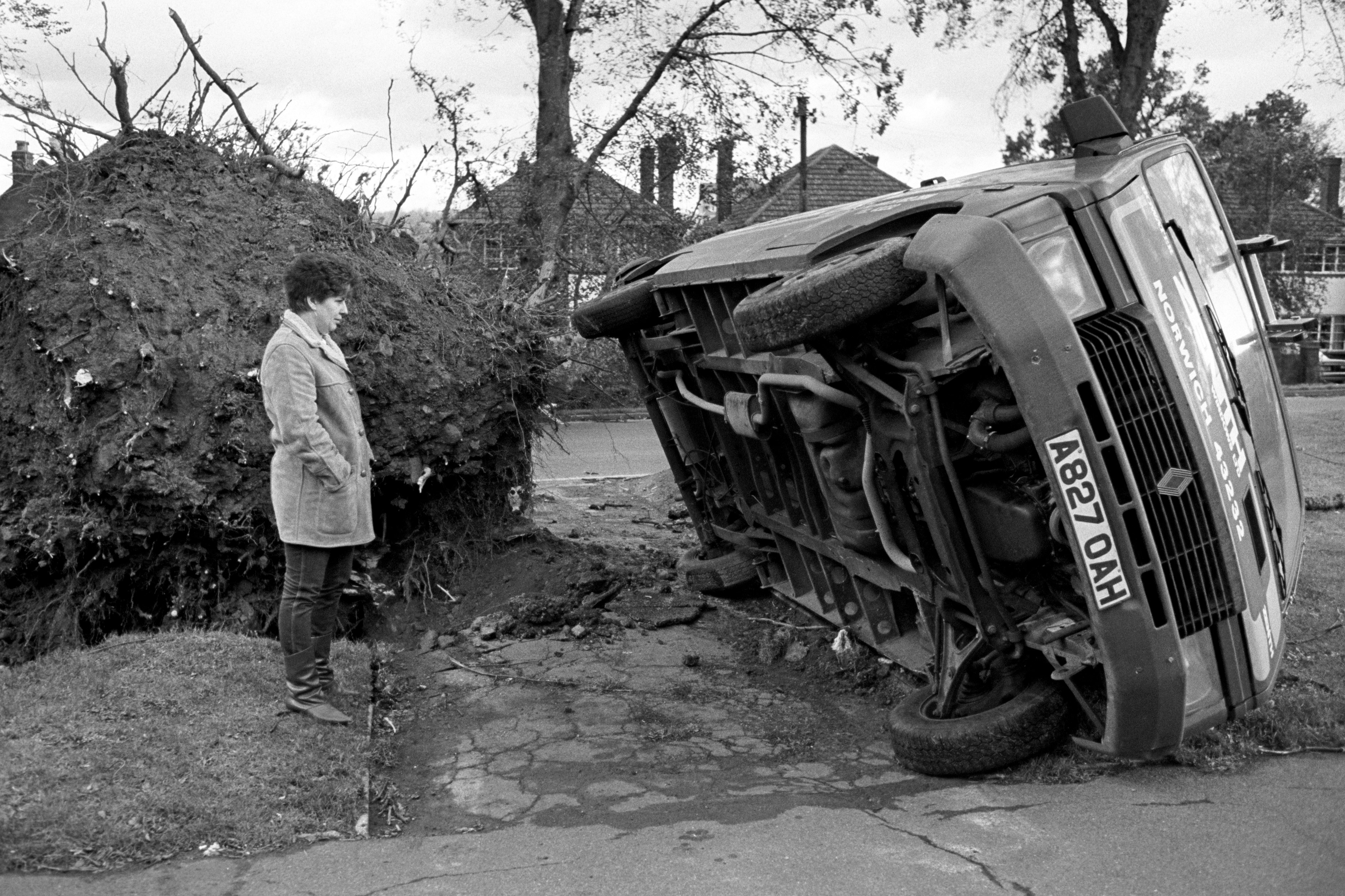 A passerby looks at a truck on its side next to a large uprooted tree trunk