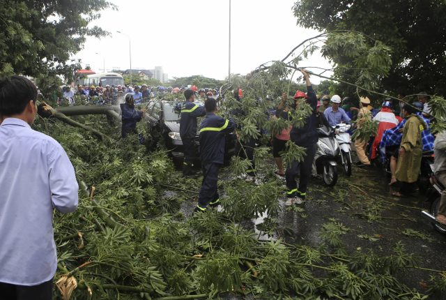 Vietnamese workers remove fallen trees on a street in central city of Hue, Vietnam (Ho Cau/Vietnam News/AP) 