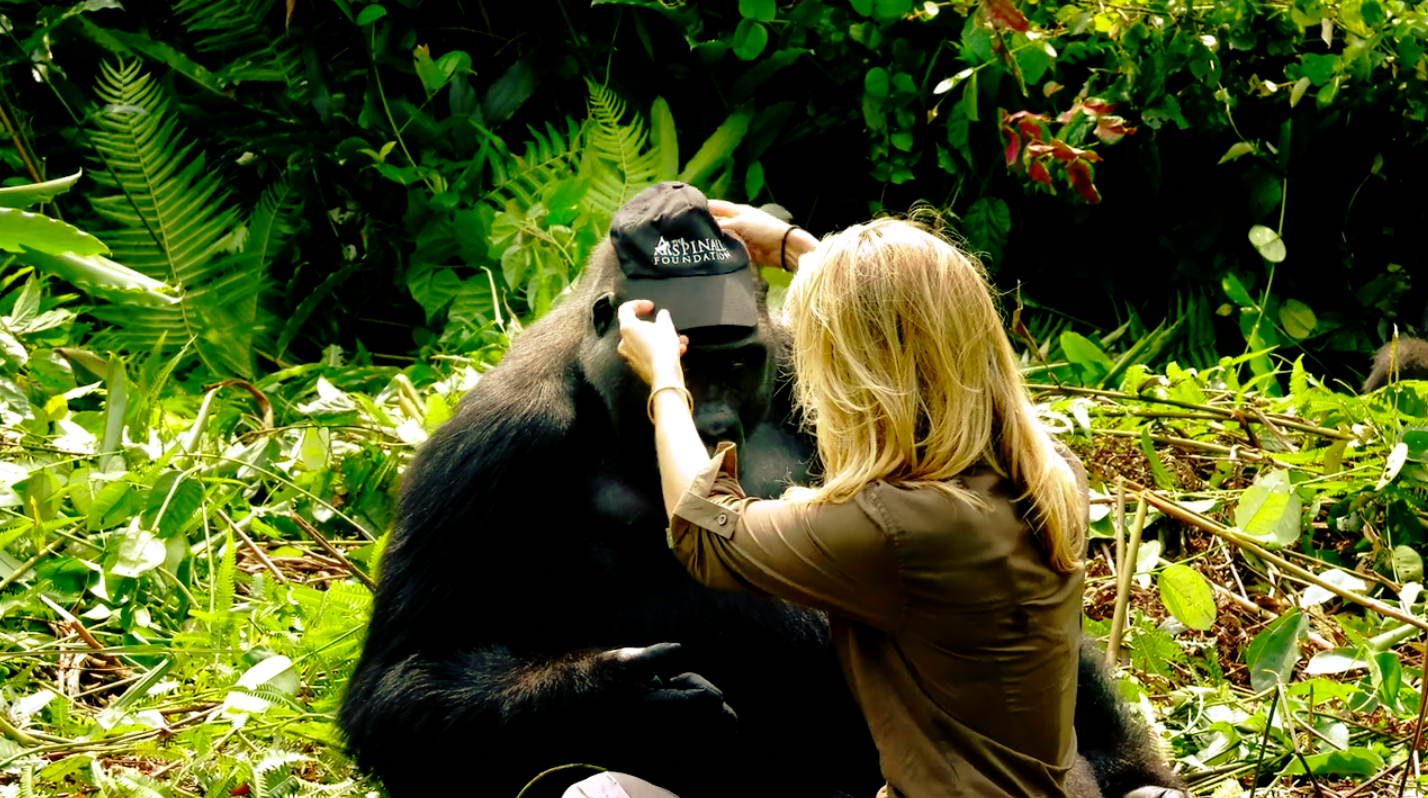 Video shows conservationist Damian Aspinall introducing his wife to ...