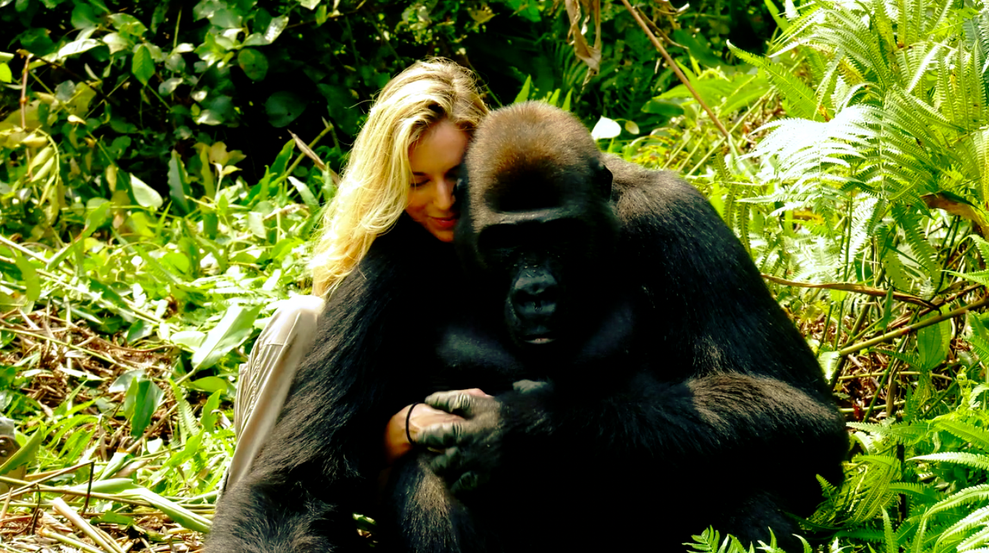 Video shows conservationist Damian Aspinall introducing his wife to ...