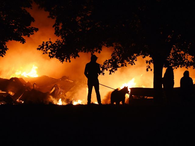 Fire crews at the scene in Tottenham 