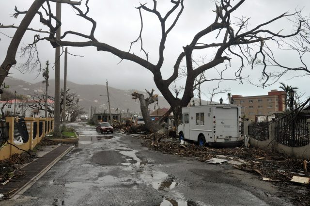 Trees stand barren and debris lays on the roadside, caused by Hurricane Maria in Road Town, on the island of Tortola, in the British Virgin Islands (Freeman Rogers/AP)