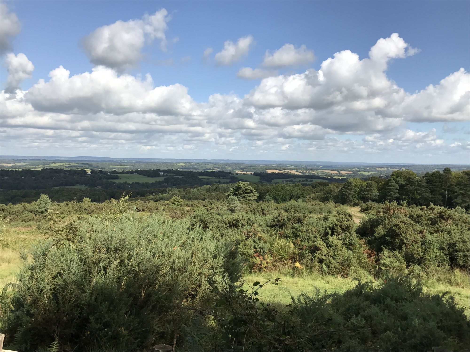 Ashdown Forest (Hannah Stephenson/PA)