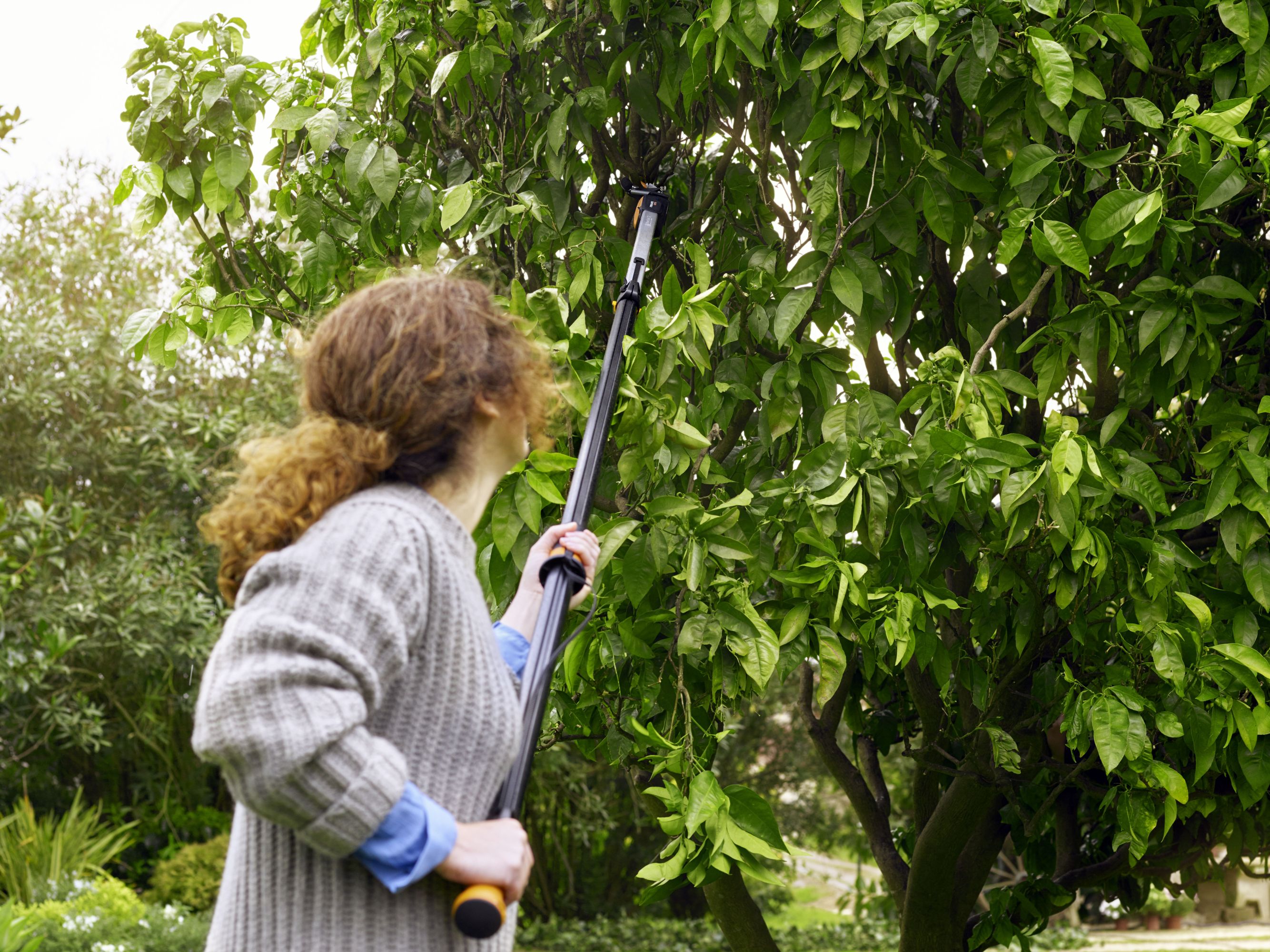 Tree pruning may require extendable poles. (Fiskars/PA)