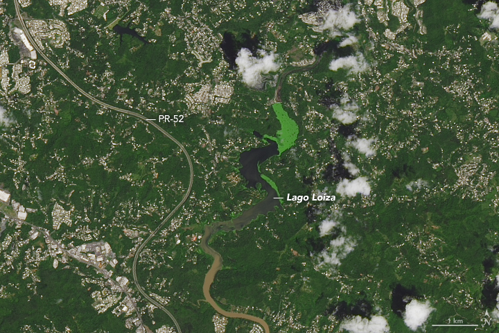 Part of Puerto Rico the year before Hurricane Maria, the area around the Lago Loíza reservoir, south of San Juan and north of Caguas (Nasa Earth Observatory)