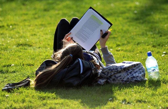 A girl studies in the afternoon sunshine