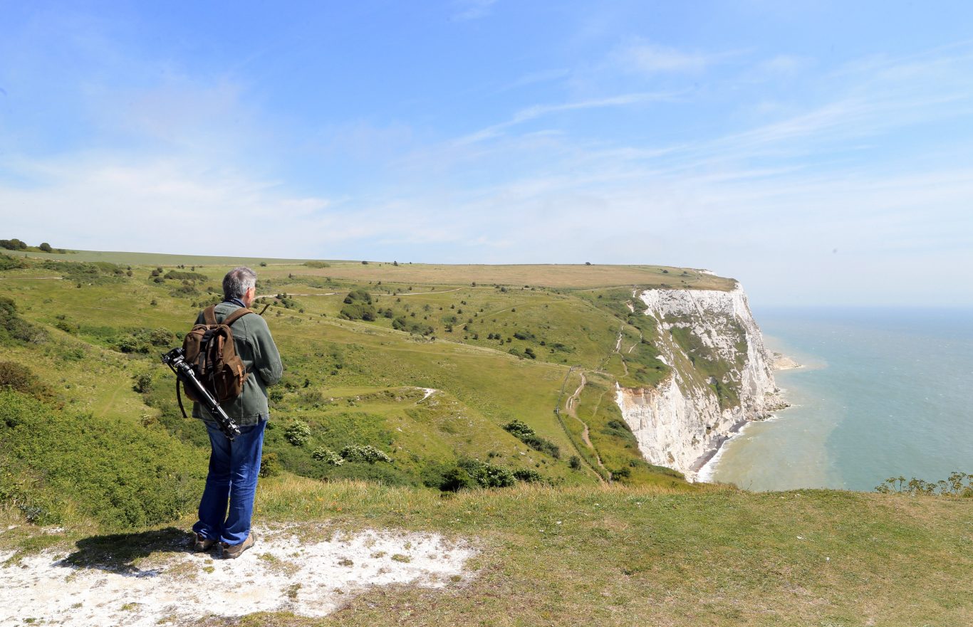 Bluebirds and butterflies over White Cliffs of Dover as appeal
