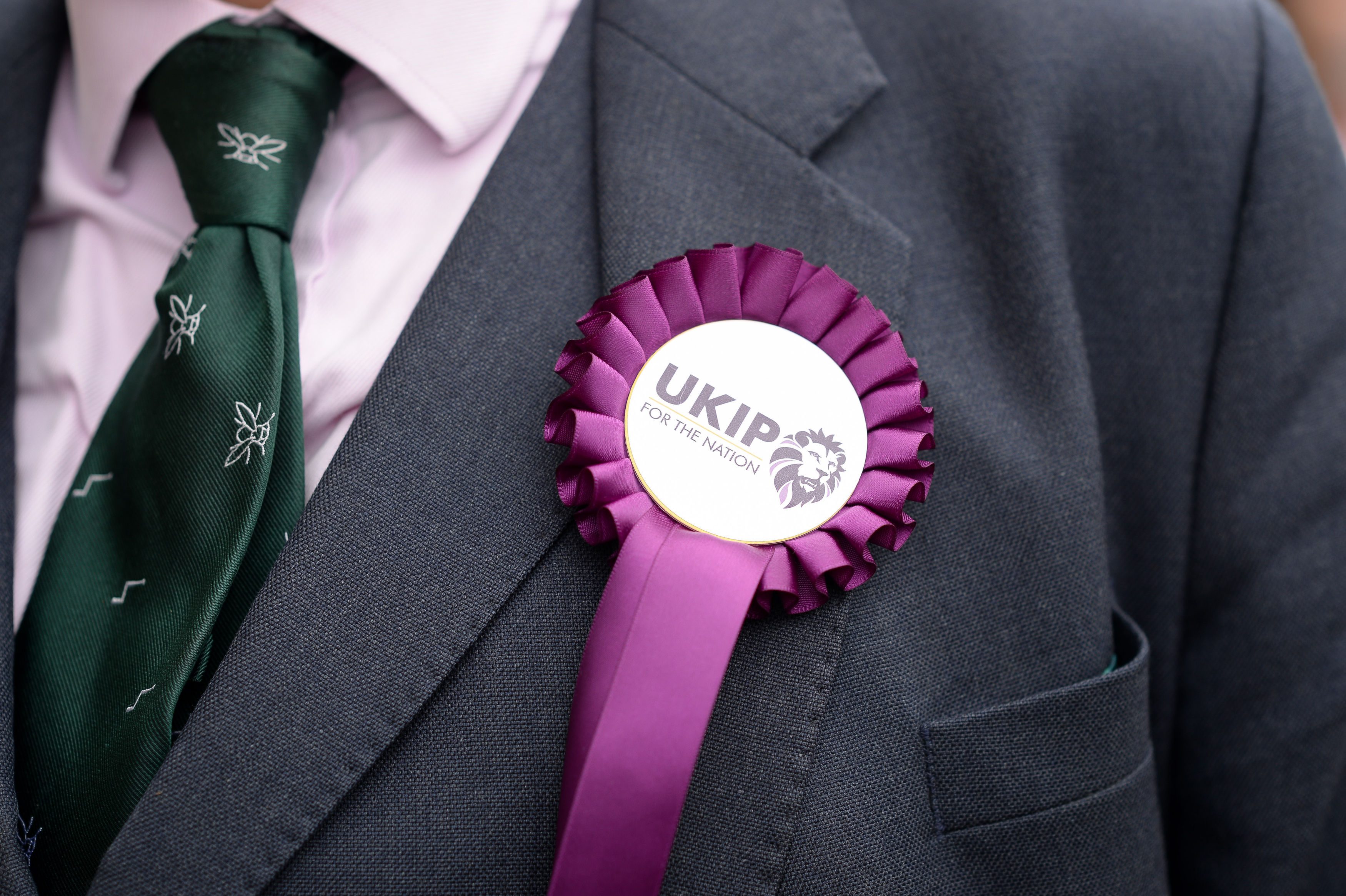 The Ukip logo on a rosette