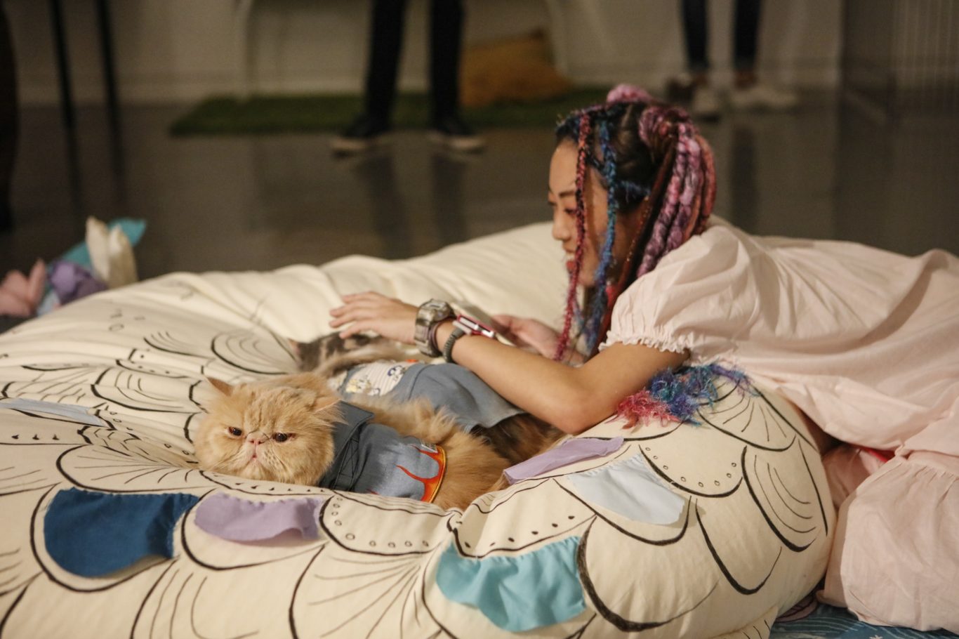 Artist Kelly Limerick spends time with feline friends in the gallery (Wellness/PA)