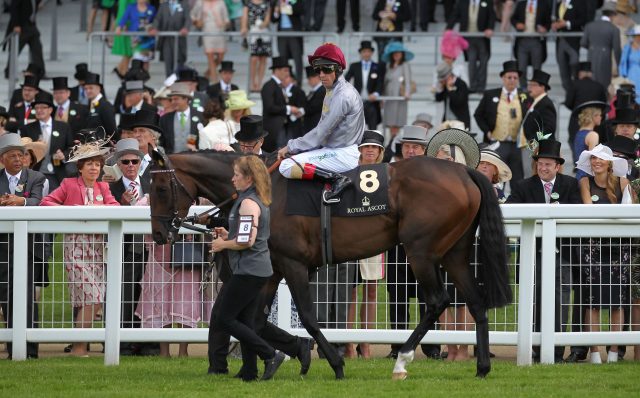 Treve, seen here at Royal Ascot, was a rare dual winner of the Arc