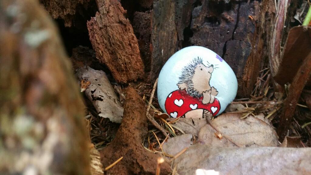 A hedgehog on a painted rock hidden by Kathy Fournier in Washington State.