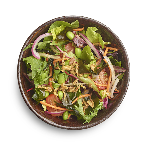 Wagamama's vegan menu - BT