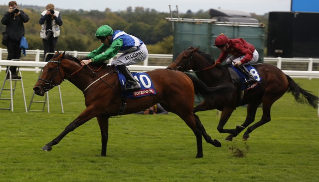 One Master, ridden by Martin Harley, wins the October Stakes